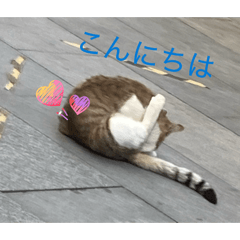 Buru-_20260205143906