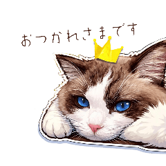 Caterpillar_20260205154202