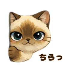 mayty_20260205164622