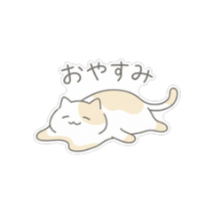 Days Spent with a Cat