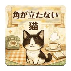 odayakamaigo_20260205174819