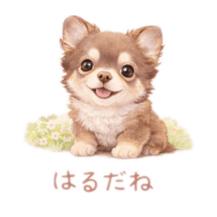 monaka_20260206093303