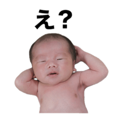 senbei_20260204085430