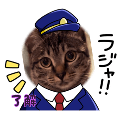 TaToTaTo_20260205192757