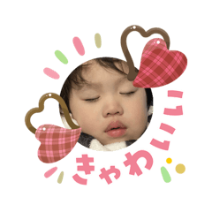 shigi_20260205194320