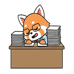 Smart Little Raccoon