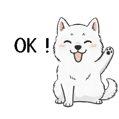 F.Family_20260205214638