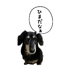 Orebean_20260205214347