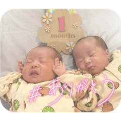 SHIMANAKA_20260205214828