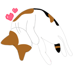 anchobix_20260205215145