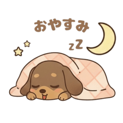 Everyday Greetings:Miniature Dachshund