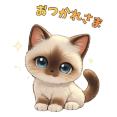 Moka the Station Kitten