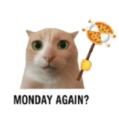 chaos cat meme stamp