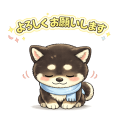 Shiro_20260205224154