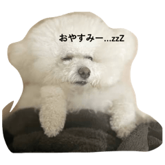 Asuka_20260206071453