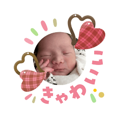 yamamoto_20260206073536