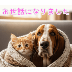 [お世話になりました]バセットハウンドと猫