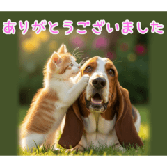 ありがとうございましたバセットハウンド猫