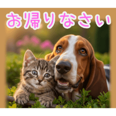 [お帰りなさい専用]バセットハウンドと猫