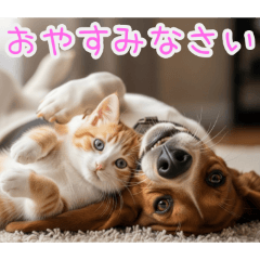 [おやすみなさい専用]バセットハウンドと猫