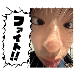 ppaap_20260205210308