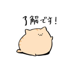 Rei_20260205173708