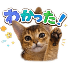 muginagizen_20260205233725