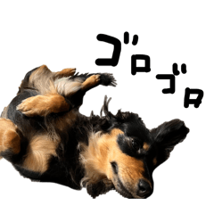 chihiro_20260205233835