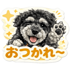 シュナウザーいなほ