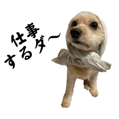 iwaima_20260205234544