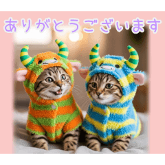 PAKAMOGOLY_20260204100418