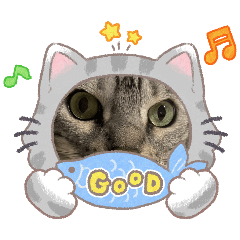 matsumoto_20260205164144