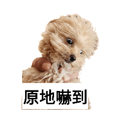 立里集體貼圖NO.2