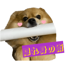 gaaaanta_20260205182907