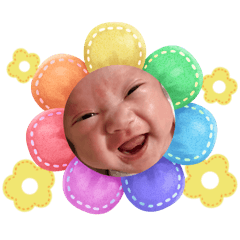 是果果耶(⁎⁍̴̛ᴗ⁍̴̛⁎)