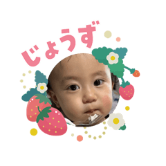 yukinco_20260205183948