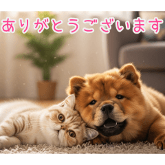 [ありがとうございます専用]ブサカワ犬猫