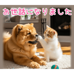 PAKAMOGOLY_20260205183526