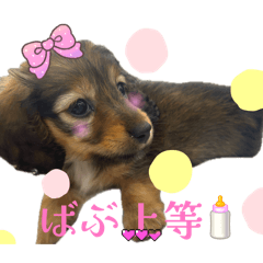 kuutan_20260205183628