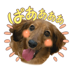 kuutan_20260205184250