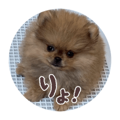 yutio_20260205215530