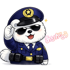 Fluffy Studio_20260205220300