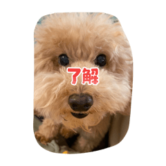 mukaso_20260205220223