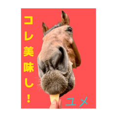 Retouch support_20260205220938