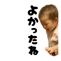 tatsu_20260206005202