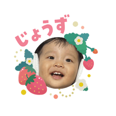reisara