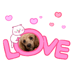 mitsue_20260205225941