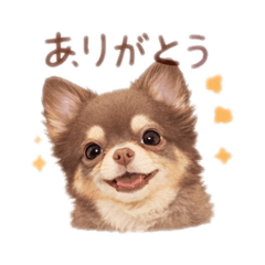 monaka_20260205230522