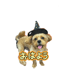 Konbu_20260205230630