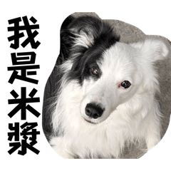 米漿來嘍！